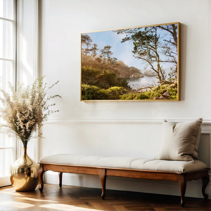 Point Lobos Coast Print | Point Lobos Canvas | 17 Mile