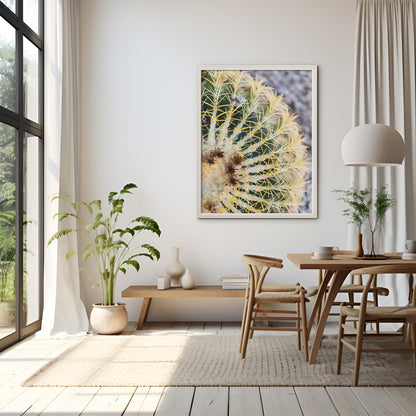 Barrel Cactus Print | Golden Barrel Cactus Print | 17 Mile