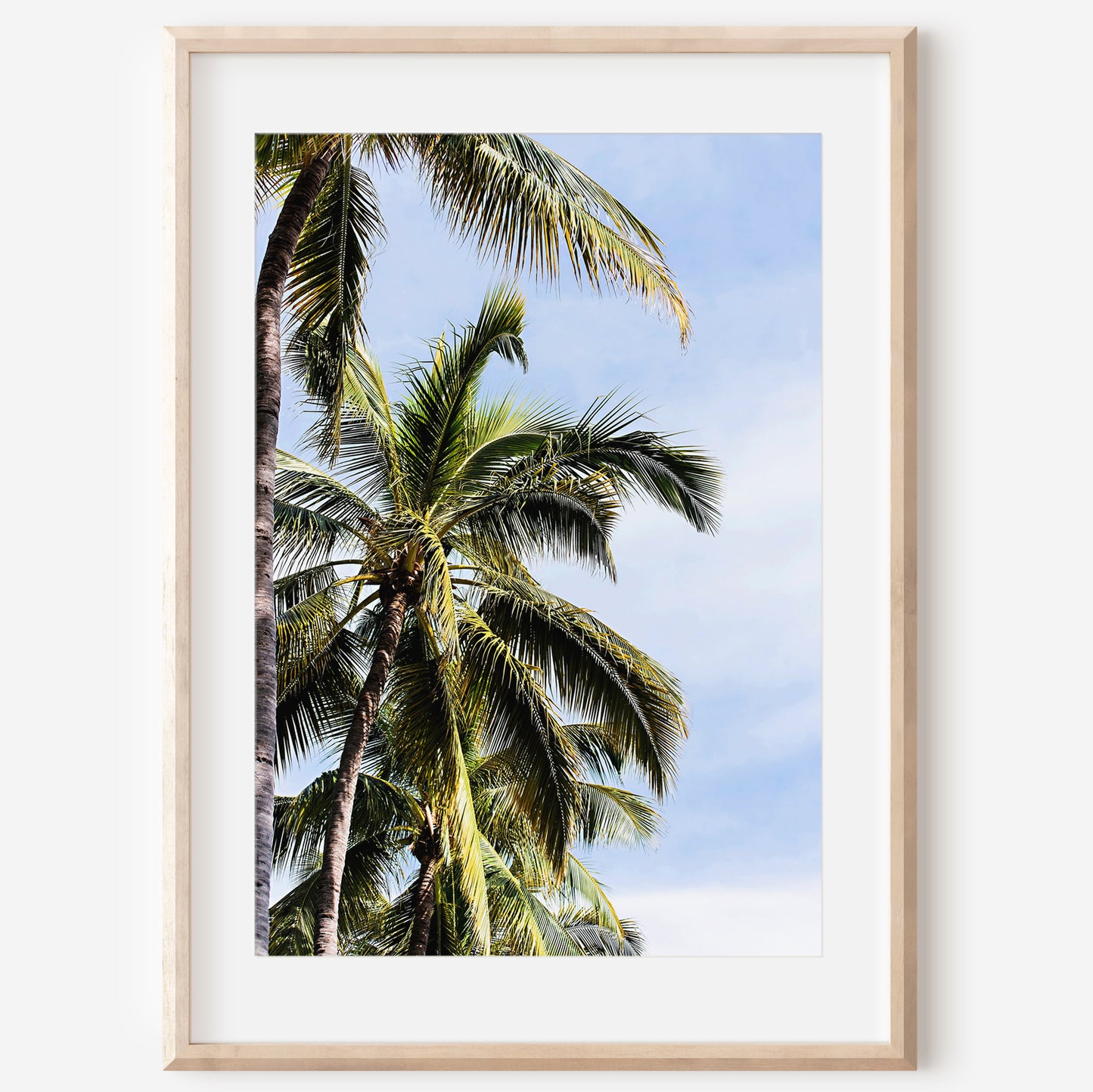 Palm Trees Print