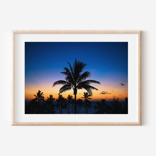 Cancun Sunset Palm Tree Print