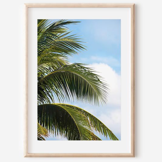Palm Leaves Cancun Print