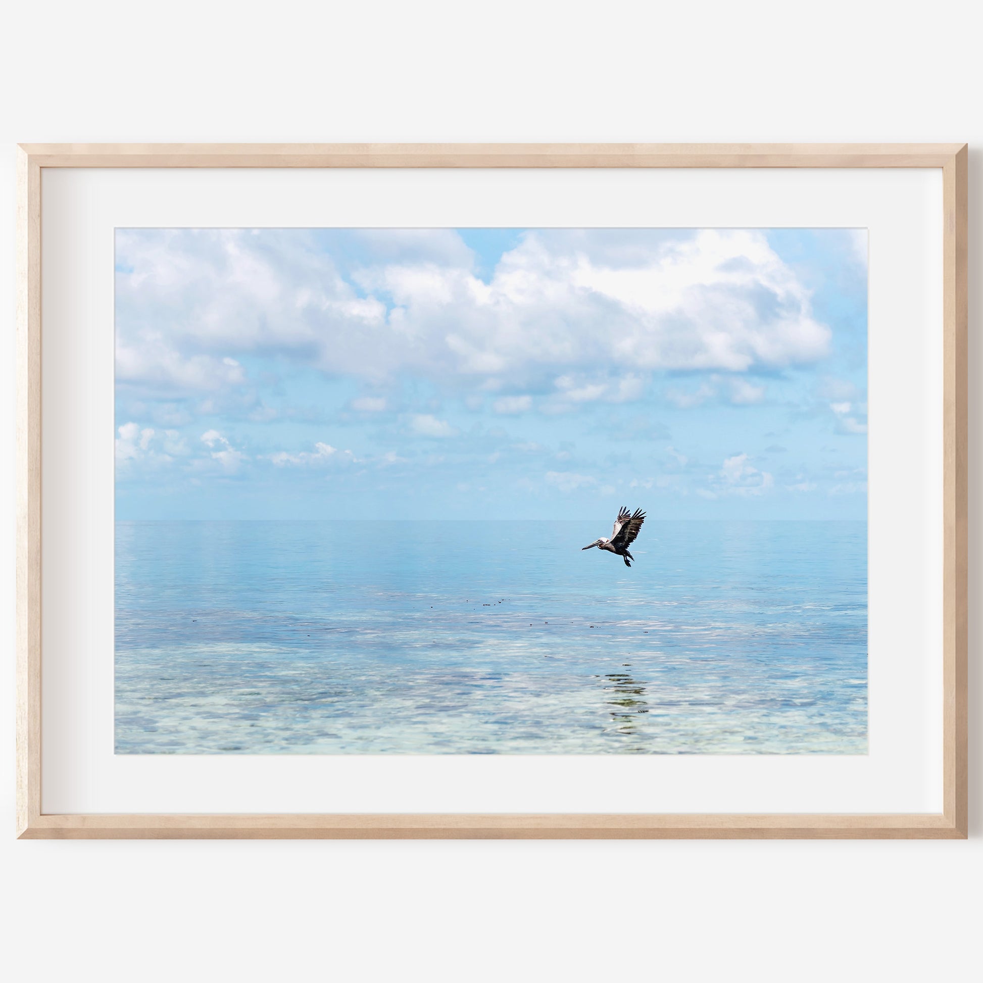 Flying Pelican Print | Flying Pelican Canvas | 17 Mile
