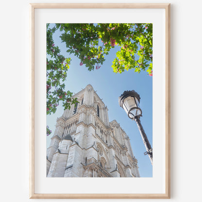 Notre Dame Paris Print