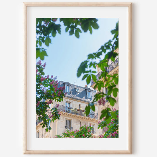 Paris Architecture Print