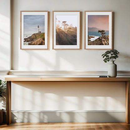 California Nature Print | California Photo Set | 17 Mile