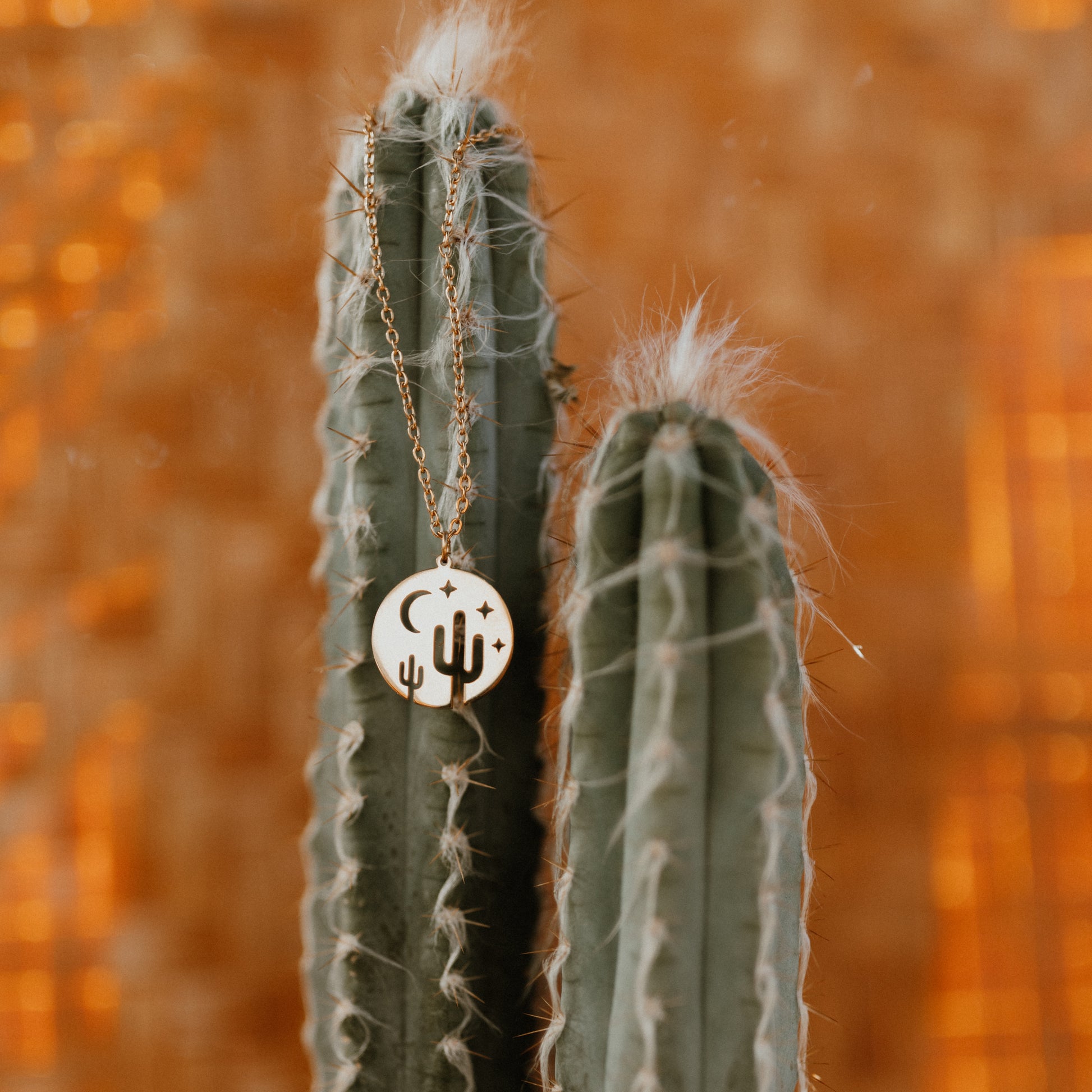 Desert Scene Necklace | Stainless Steel Necklace | 17 Mile