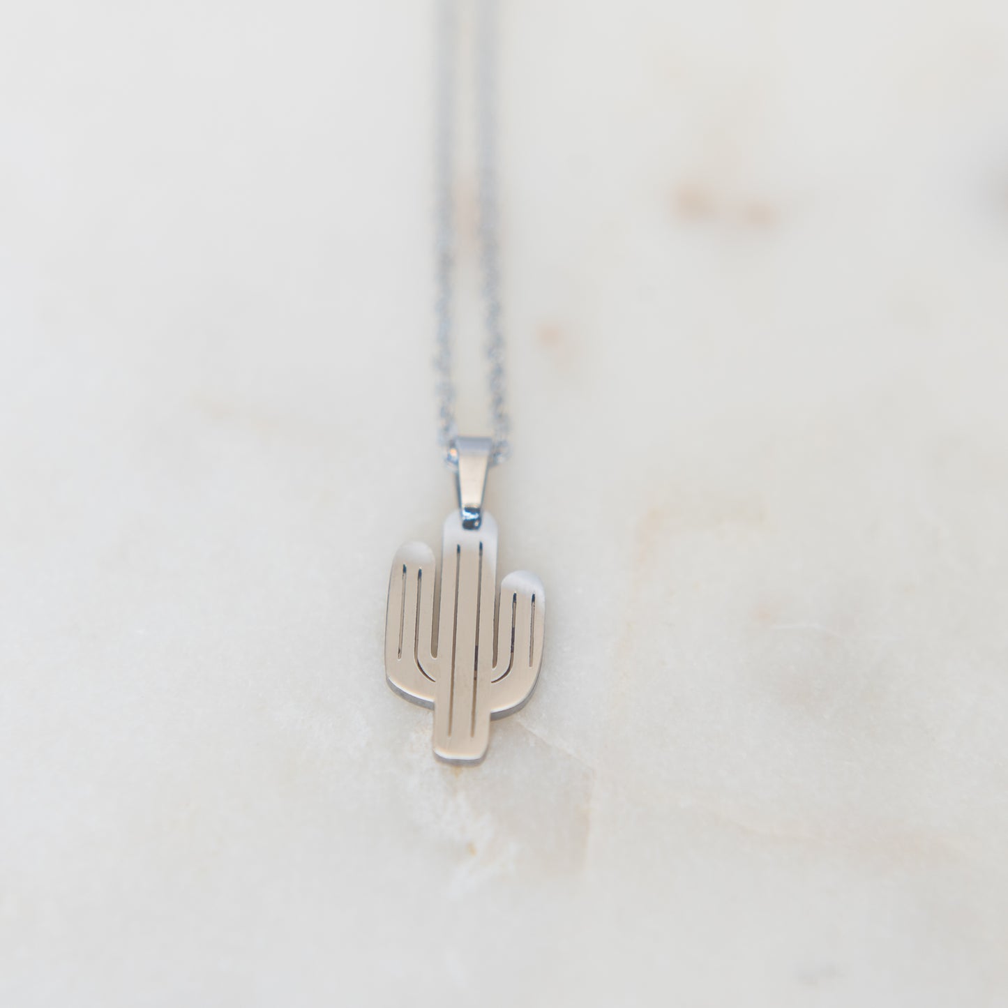 Gold Cactus Necklace | Silver Cactus Necklace | 17 Mile