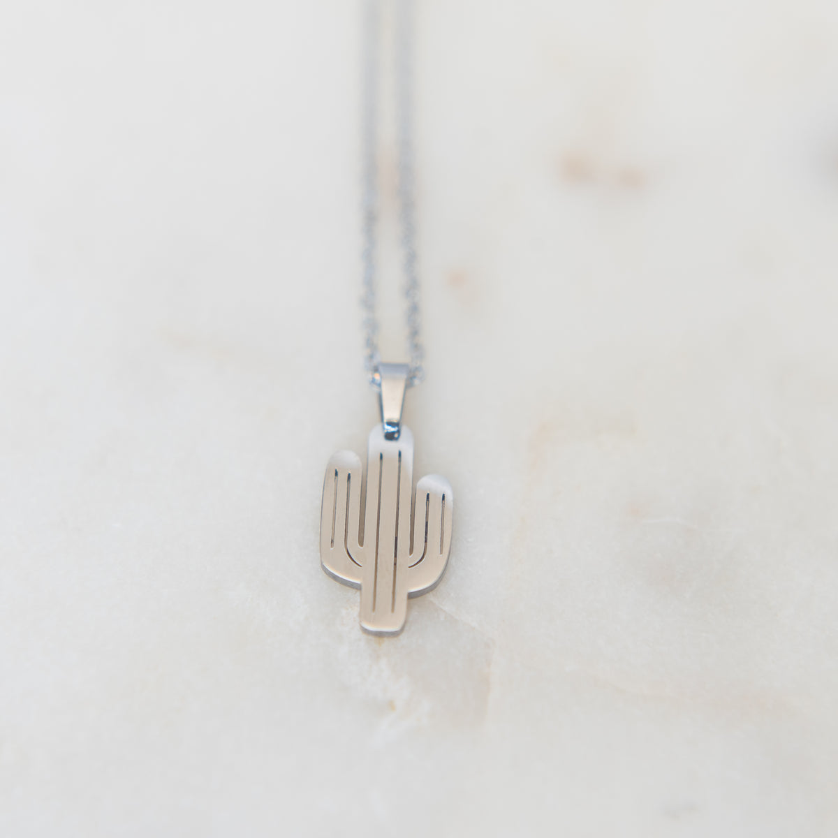 Gold Cactus Necklace | Silver Cactus Necklace | 17 Mile